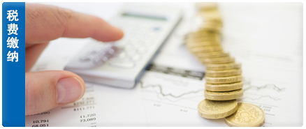 税费缴纳